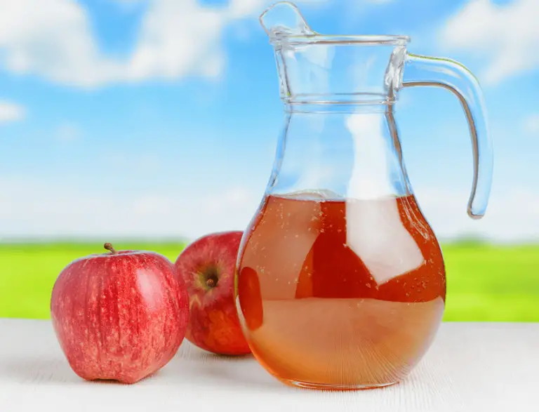 pasteurized apple juice brands
