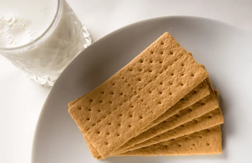 Graham Cracker Brands - 12 Popular Options for Snacking, S'mores, & Beyond