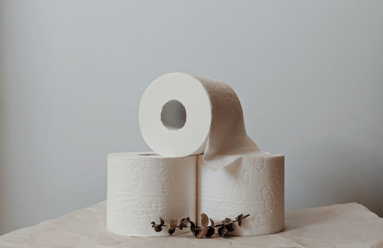 35+ Toilet Paper Brands – Brand Informers