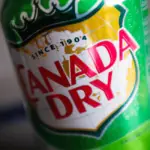 Does Canada Dry Have Caffeine? - Answered
