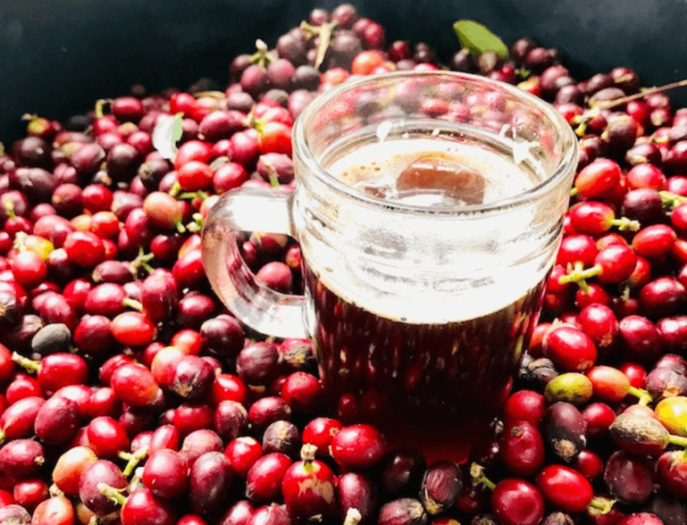 Does Cranberry Juice Have Caffeine? (Answered) – Brand Informers